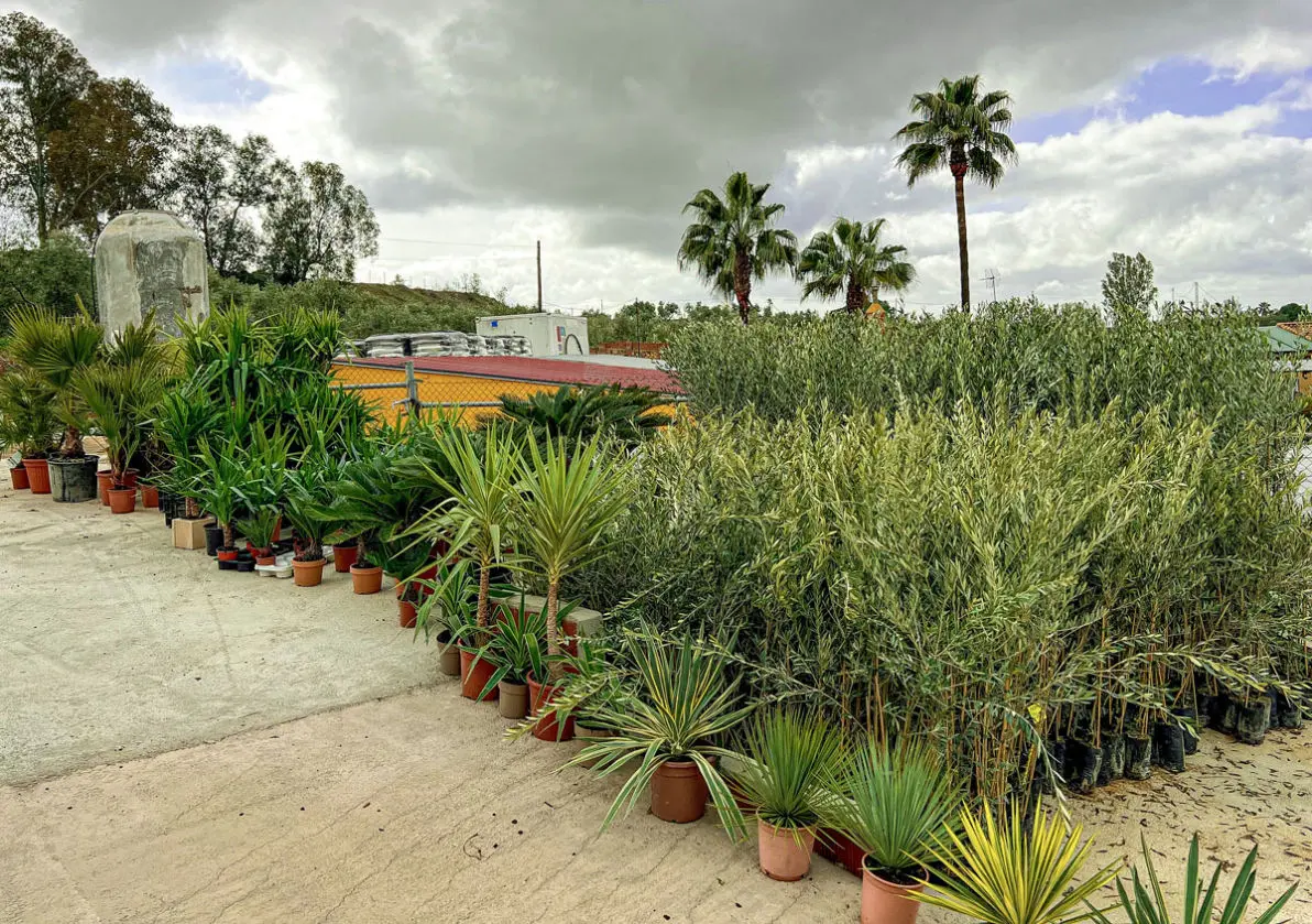 Vivero La Palmera Linares