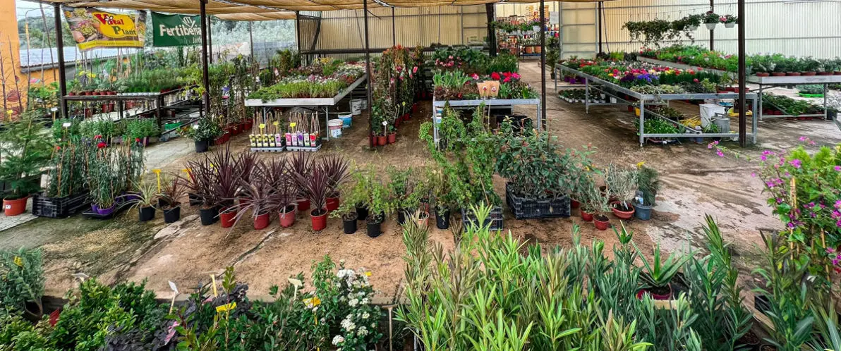 Vivero La Palmera Linares