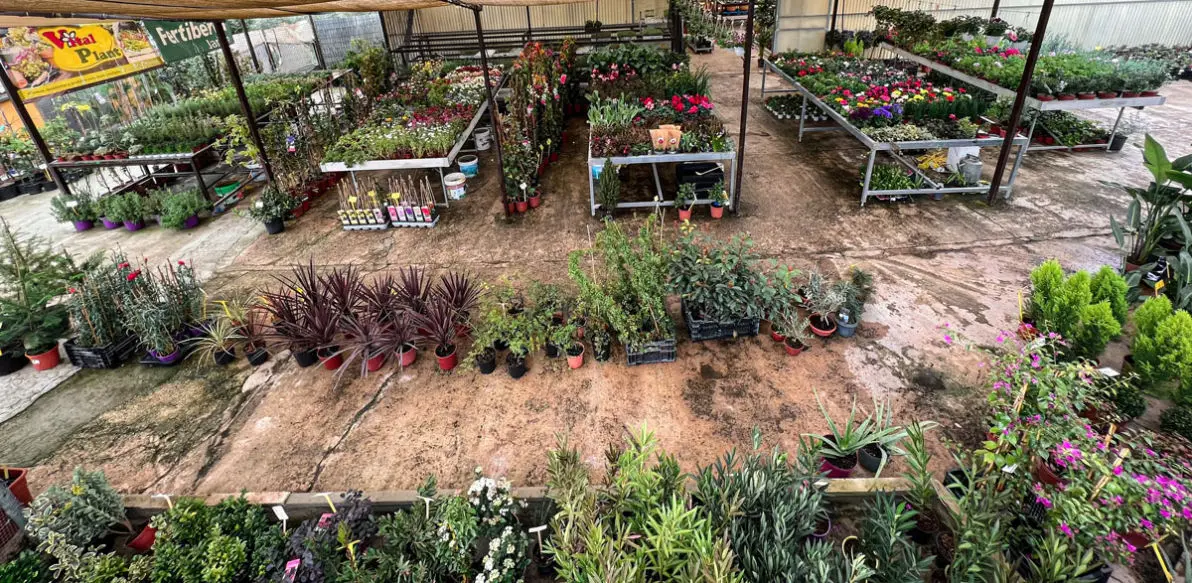 Vivero La Palmera Linares